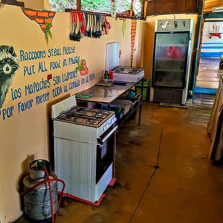 Hostel Plinio Manuel Antonio Luaran gambar