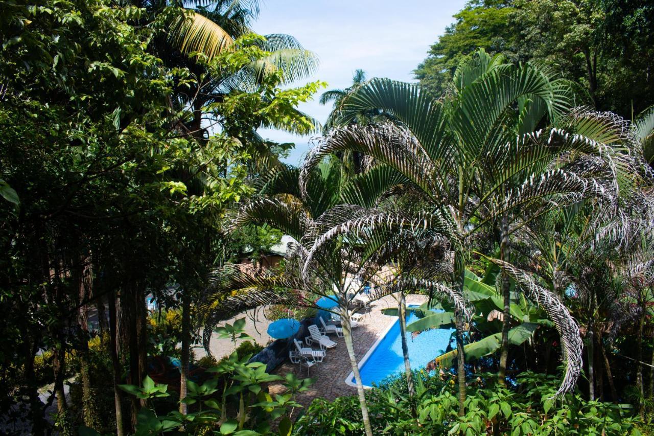 Hostel Plinio Manuel Antonio Luaran gambar
