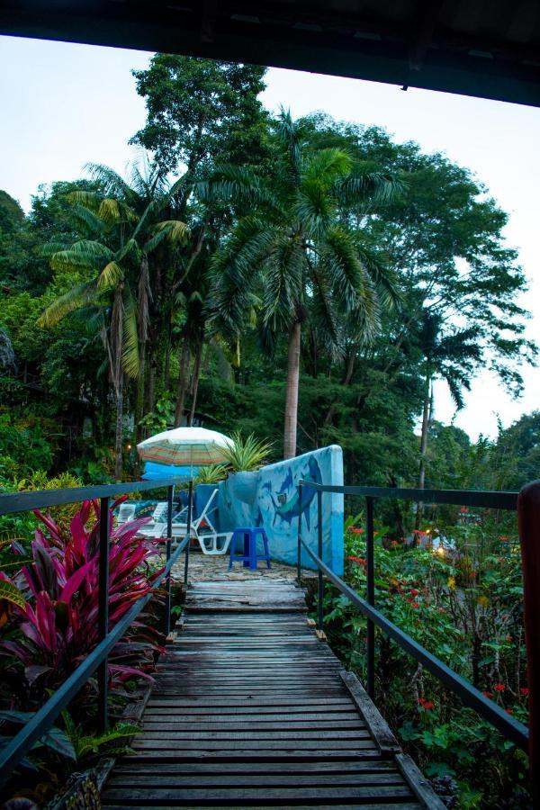 Hostel Plinio Manuel Antonio Luaran gambar