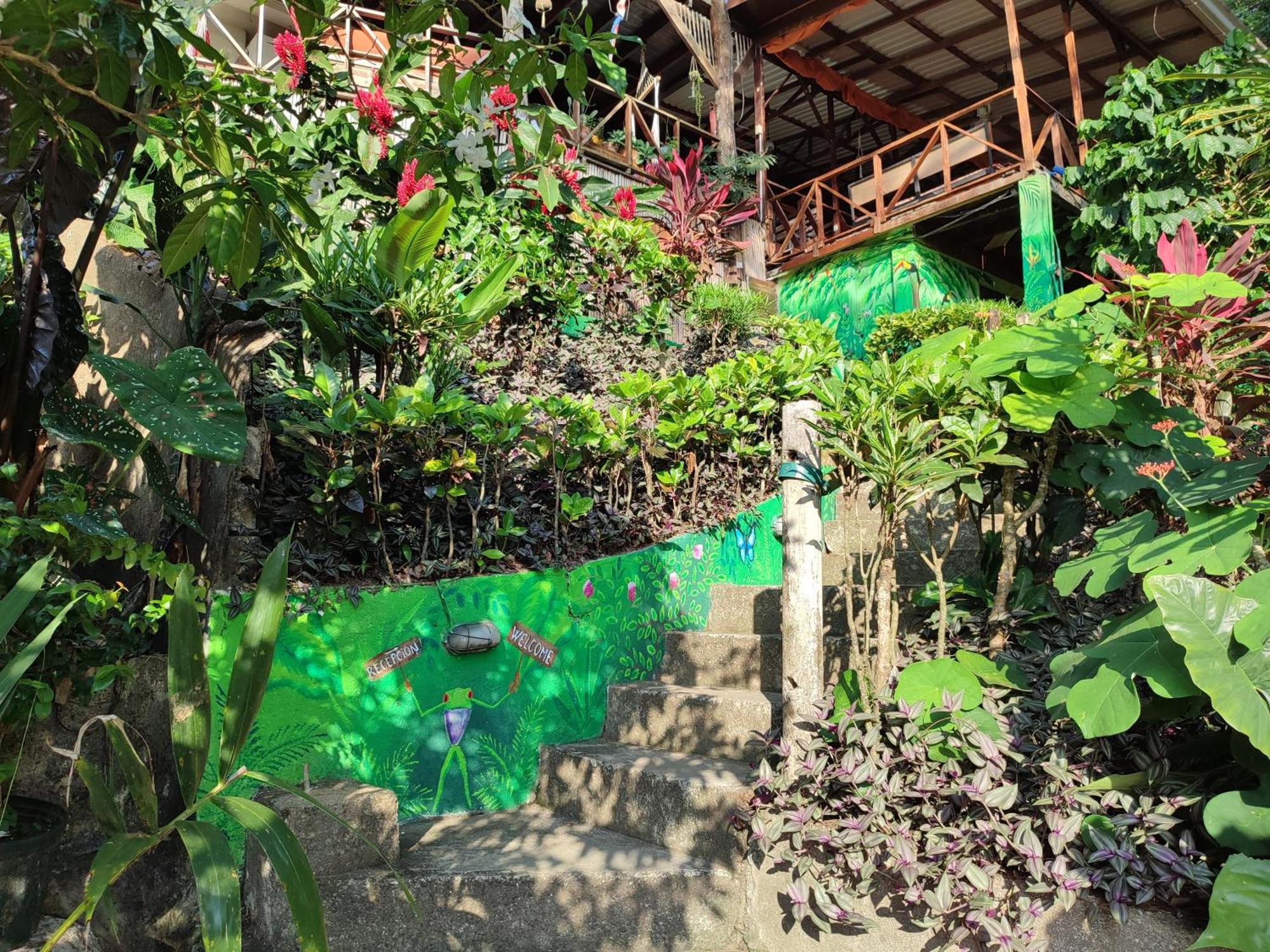 Hostel Plinio Manuel Antonio Luaran gambar