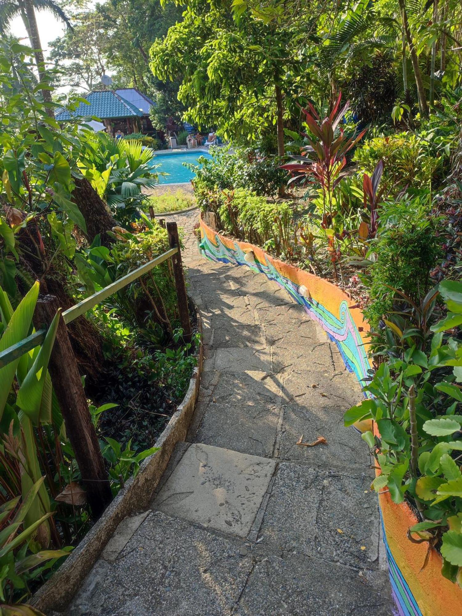 Hostel Plinio Manuel Antonio Luaran gambar