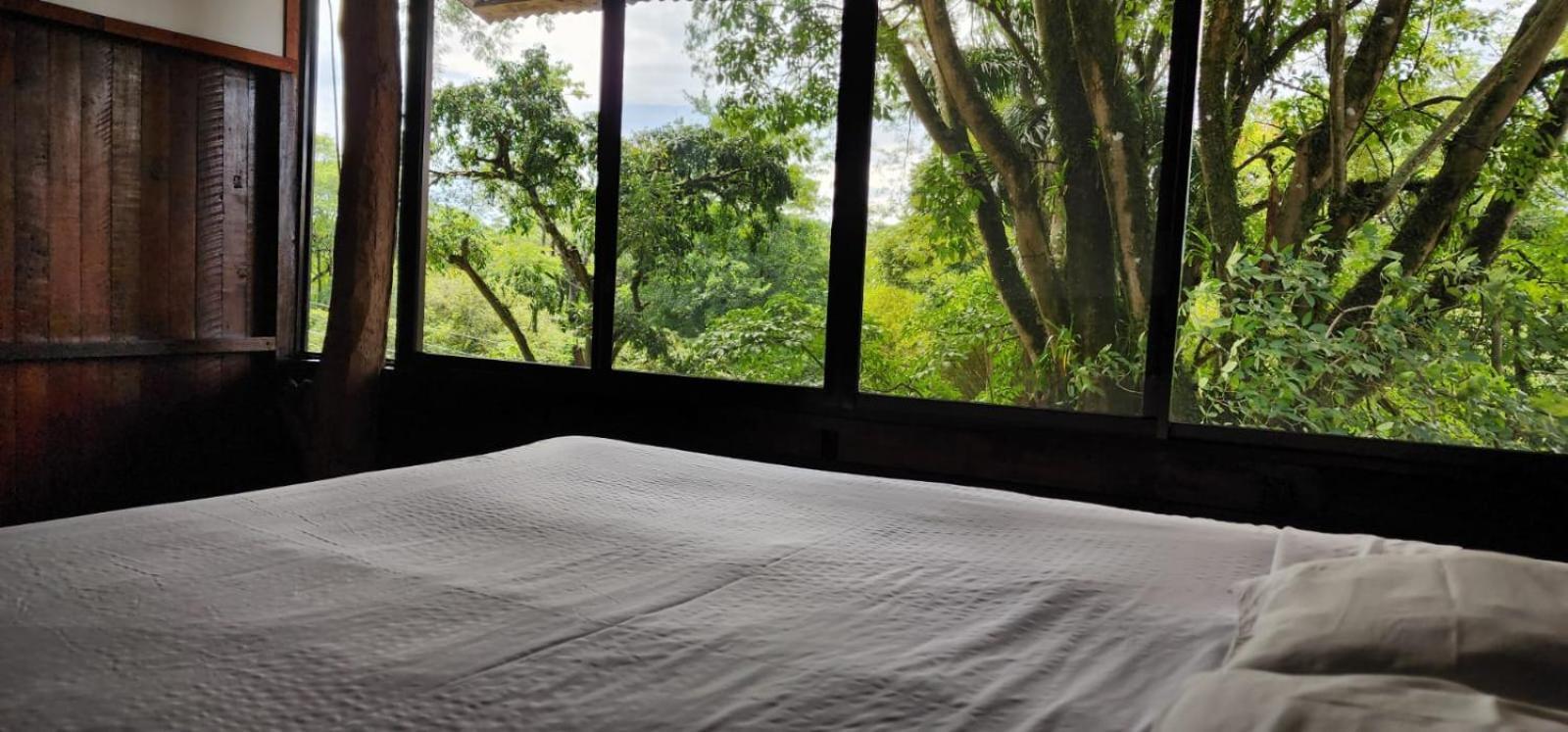 Hostel Plinio Manuel Antonio Luaran gambar