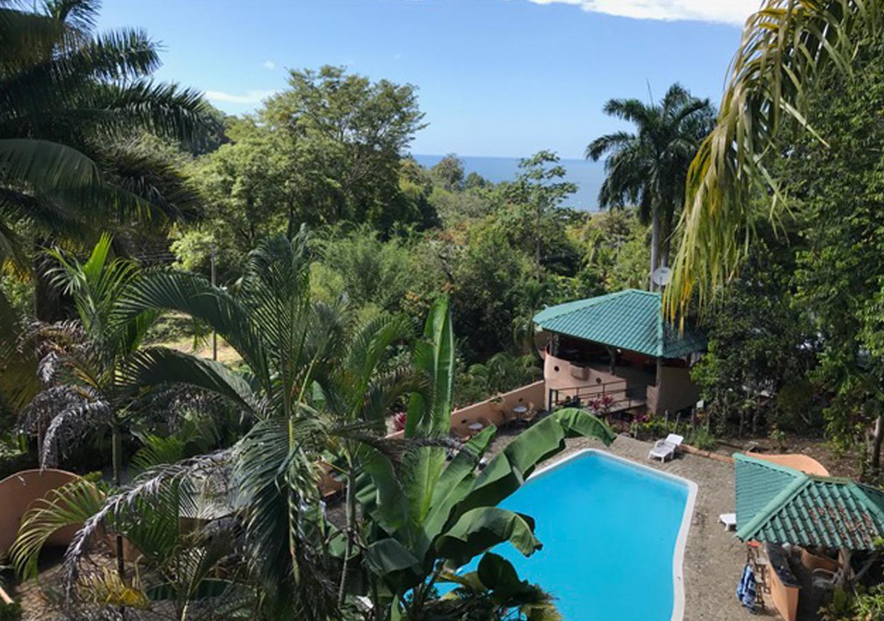 Hostel Plinio Manuel Antonio Luaran gambar