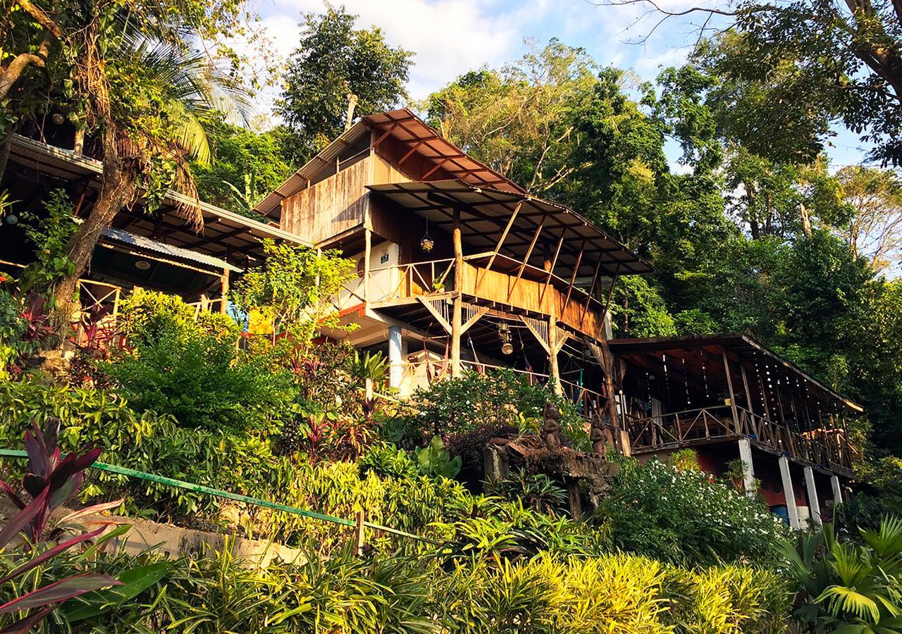 Hostel Plinio Manuel Antonio Luaran gambar