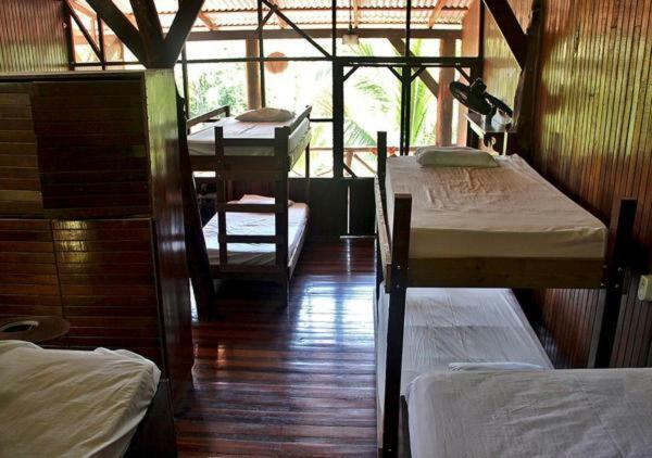 Hostel Plinio Manuel Antonio Luaran gambar