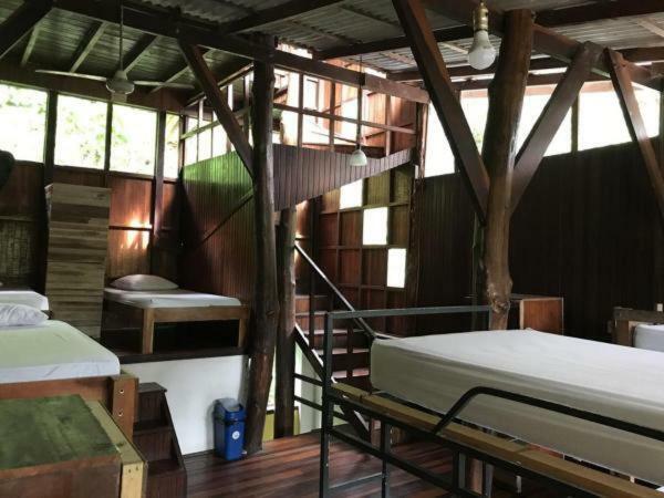 Hostel Plinio Manuel Antonio Luaran gambar